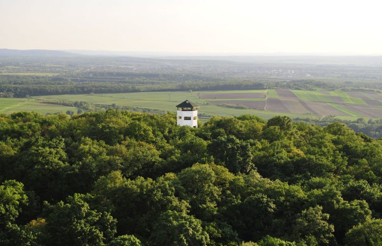 SOMLÓ-HEGYI_KILÁTÓ_022_new